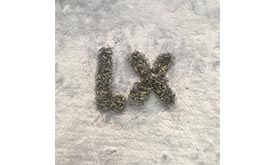 钛毛细管 - 细节展示